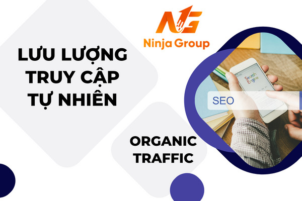 Lưu lượng truy cập tự nhiên (Organic Traffic)