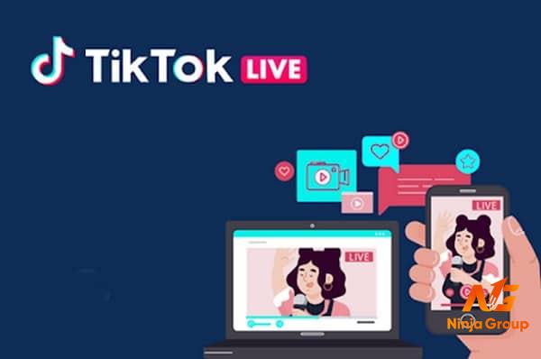 Hướng dẫn cách live trên TikTok khi chưa đủ Follow