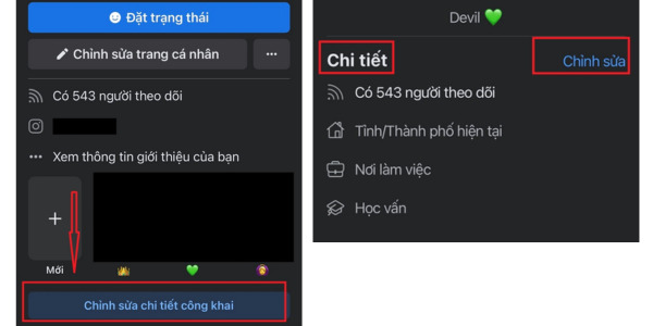 Mở chỉnh sửa chi tiết công khai và Nhấn vào chỉnh sửa