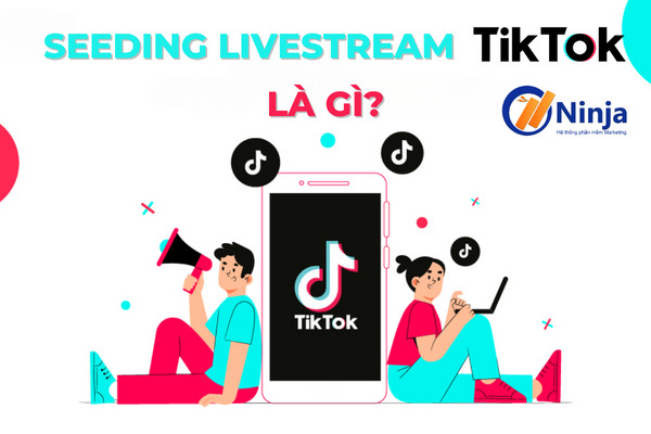 seeding livestream tiktok