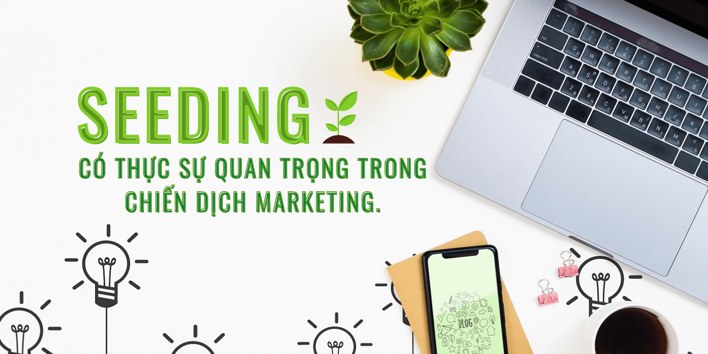 Vì sao seeding quan trọng đối với doanh nghiệp?