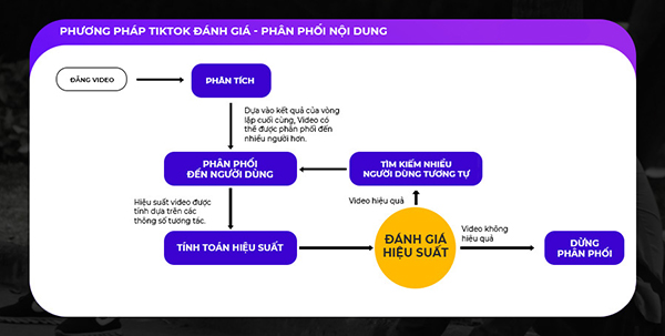 thuật toán tiktok