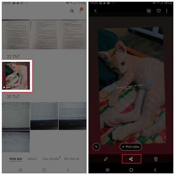 Chọn video => Nhấn biểu tượng chia sẻ