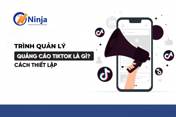 trình quản lý quảng cáo tiktok