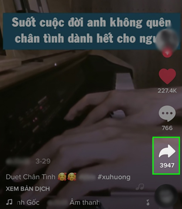 duet trên tiktok nghĩa là gì