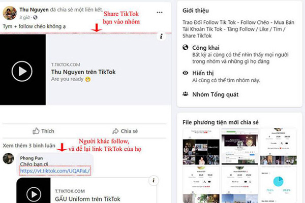 tăng 1000 follow tiktok